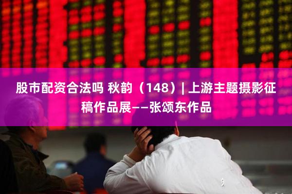 股市配资合法吗 秋韵（148）| 上游主题摄影征稿作品展——张颂东作品