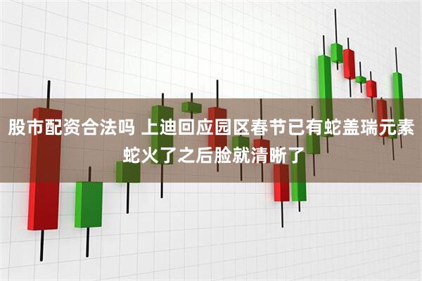 股市配资合法吗 上迪回应园区春节已有蛇盖瑞元素 蛇火了之后脸就清晰了