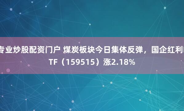 专业炒股配资门户 煤炭板块今日集体反弹，国企红利ETF（159515）涨2.18%